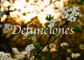 Defunciones Lunes 02 de Noviembre del 2020