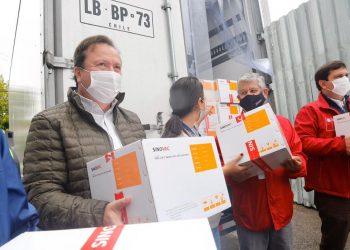 Llegaron vacunas Sinovac: En Talca 40 equipos vacunarán en sus casas a mayores de 65 años