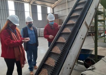 Seremi de Energía visita planta de pellet para verificar suministro para invierno