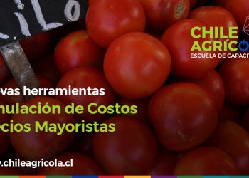 Chile Agrícola integra nuevas herramientas para simulación de costos productivos