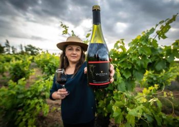 Pequeños productores del Maule obtienen medallas de oro en concurso Catad’Or World Wine Awards 2021