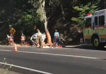 Cinco muertos dejan dos accidentes de tránsito en el Maule