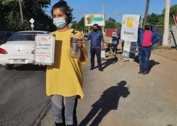 Movimiento Linares Verde critica accionar municipal frente a la desprotección del Humedal Ayüwün
