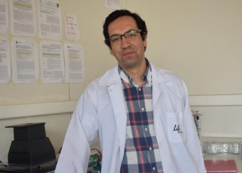 Investigación de U. Autónoma descubre sustancia que ayuda a remover pesticida del medioambiente