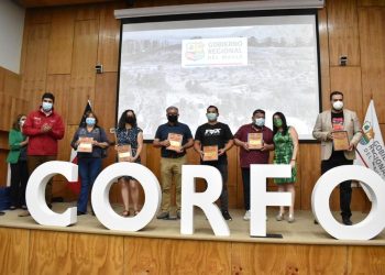 Gobierno Regional respaldó a 112 emprendedores del Maule
