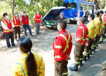 Leve baja de incendios forestales en la actual temporada: Llaman a reforzar prevención