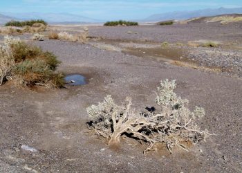 Experto advierte que sequía en el Maule alcanzará niveles críticos en 2022 : Racionamiento es cosa de tiempo