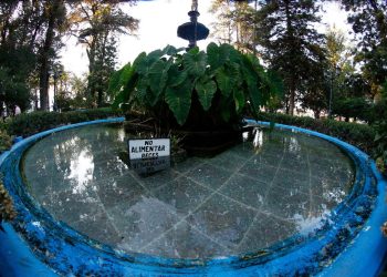 Increíble: Ahora se robaron hasta los peces de la Plaza de Armas de Curicó