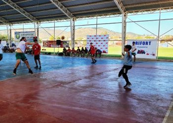 Liga Regional de Handball ya es una realidad en el Maule