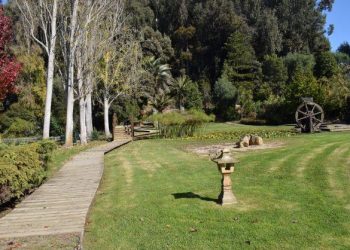 Jardín Japonés de Constitución reabrió sus puertas