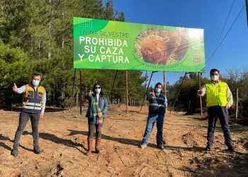 Refuerzan medidas de protección para la fauna silvestre