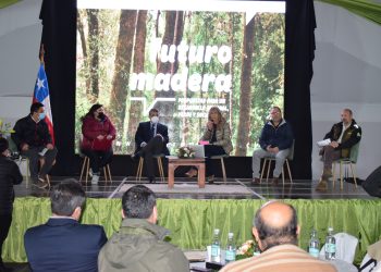 Empedrado: los desafíos de una comuna fuertemente afectada por los incendios que hoy exige agua y recuperación de suelos