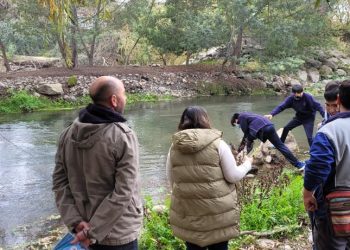 Finalizó el proyecto “Recuperemos el Guaiquillo” en Curicó