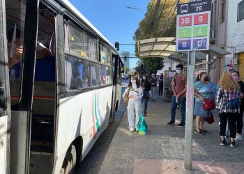 Seremis de Transportes y Educación llaman a estudiantes del Maule a revalidar TNE