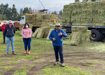 Municipalidad de Colbún inició entrega de fardos