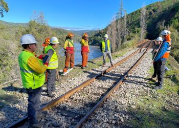 Voltean árboles que amenazan con caer sobre línea férrea del ramal Talca- Constitución
