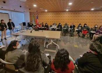 SERVIU Maule refuerza despliegue en terreno para asistir a las familias con necesidad habitacional