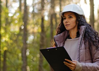 Observatorio Laboral busca conocer empleabilidad de las mujeres en sector forestal maulino