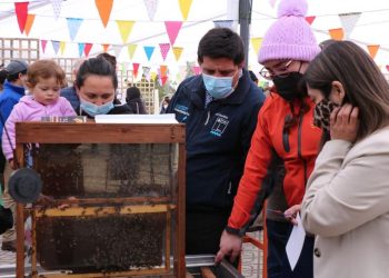 Apicultores maulinos realizan feria y seminario por Día de la Miel