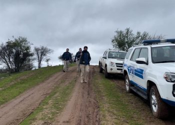 PDI realizó diligencias en Cerro la Virgen de Talca por maltrato animal