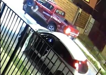 Municipalidad de Curicó presenta querella criminal contra agresor de funcionarios de seguridad pública