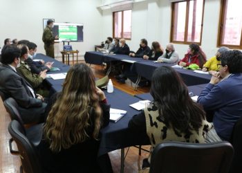 Coordinan acciones para erradicar comercio ambulante en Talca