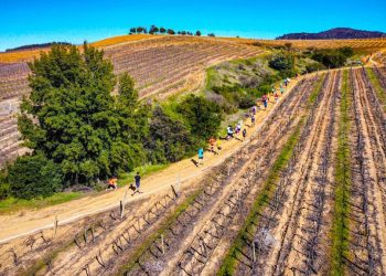 Más de 300 competidores participaron del primer desafío XTrail “Entre viñedos” de San Javier