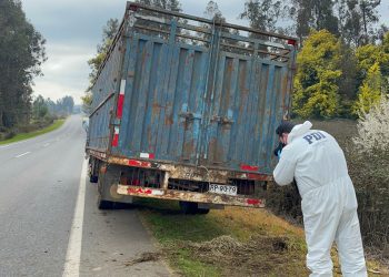 Banda armada roba camiones con 60 animales en Pelarco