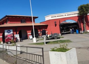 Fallido atentado incendiario contra el CREA de Talca