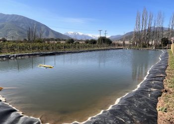 Comisión Nacional de Riego capacita a 250 consultores en diseño de obras de acumulación y balance hídrico
