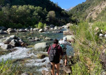 Gobierno Regional del Maule encabezará la mesa de Conservación “Bellotos del Sur” en Linares