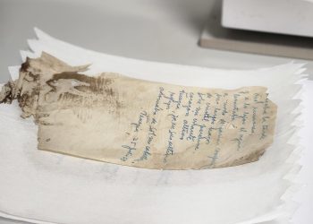 Escolares encuentran enterrados escritos inéditos de la escritora Stella Corvalán