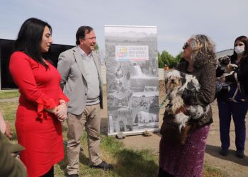 Talca contará con un moderno Centro Veterinario Municipal para atención canina y felina