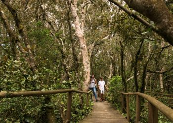 Semana del turismo se celebrará con una serie de actividades a lo largo del país