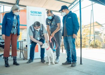 Seremi de Salud realizó operativo de vacunación para mascotas en Día Mundial contra la Rabia