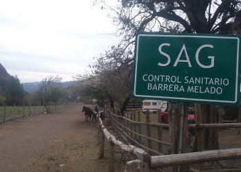 En funcionamiento primera barrera sanitaria del  SAG  en Linares