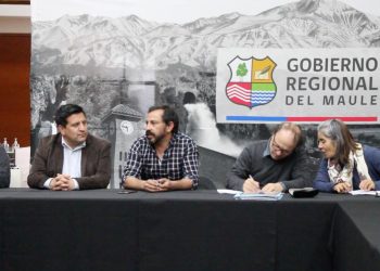 Destacan importancia de proteger Humedal Urbano Cajón del Río Claro y Estero Piduco