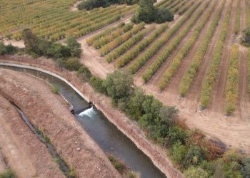 Carlos Diez, presidente de la JVRM: Trabajar en conjunto en el cuidado del agua es fundamental para tener una buena temporada de riego
