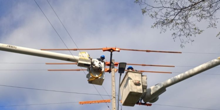 CGE avanza en la ejecución del Plan Maule para mejorar calidad de suministro eléctrico en Maule norte
