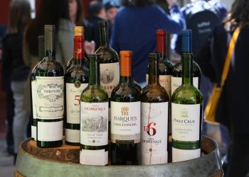 Concurso “Carmenère Al Mundo” 2022 premia al mejor vino chileno: Vea la lista completa