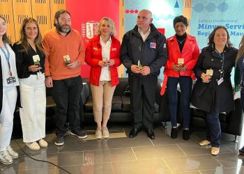 MINVU usará experiencia maulina para construir en el país 40 centros comunitarios para reducción de desastres