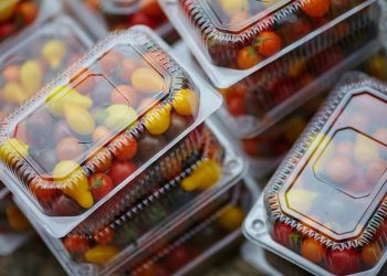 Tecnología de envasado con gases reduce riesgo de bacterias en alimentos