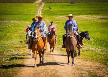 Viña Saavedra lanzó cabalgatas que unen el turismo con el vino
