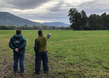 SAG abre concursos para la recuperación de suelos