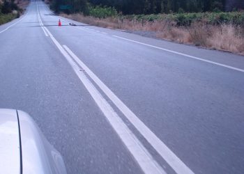 Desarrollo Social da visto bueno a proyecto de mejoramiento de ruta L-30-M entre San Javier y Constitución