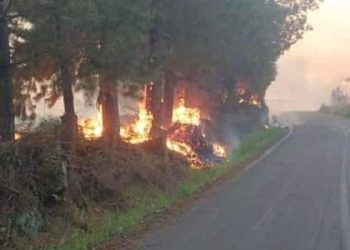 Casi 3 mil hectáreas destruidas por ocho incendios forestales, varios se mantienen fuera de control