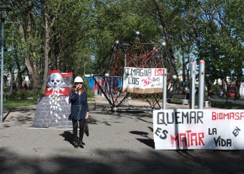 Solicitan firmas para rechazar termoeléctrica de biomasa en Parral