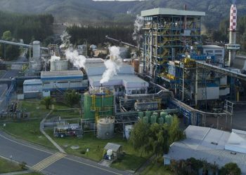 Parada General de Licancel deja “cuentas alegres” en la  comuna de Licantén