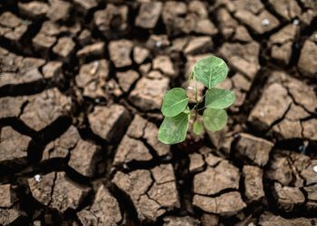 Cambio climático y reformulación de programas alimentarios serán temas en las IV Jornadas de Nutrición y Alimentos UCM