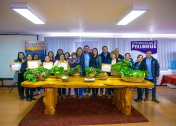 Familias de Pelluhue podrán aumentar la disponibilidad de alimentos saludables